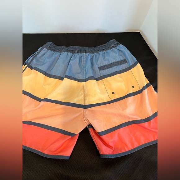 Rowdy Gentlemen Mens Size L Swim Trunks - Picture 2 of 8